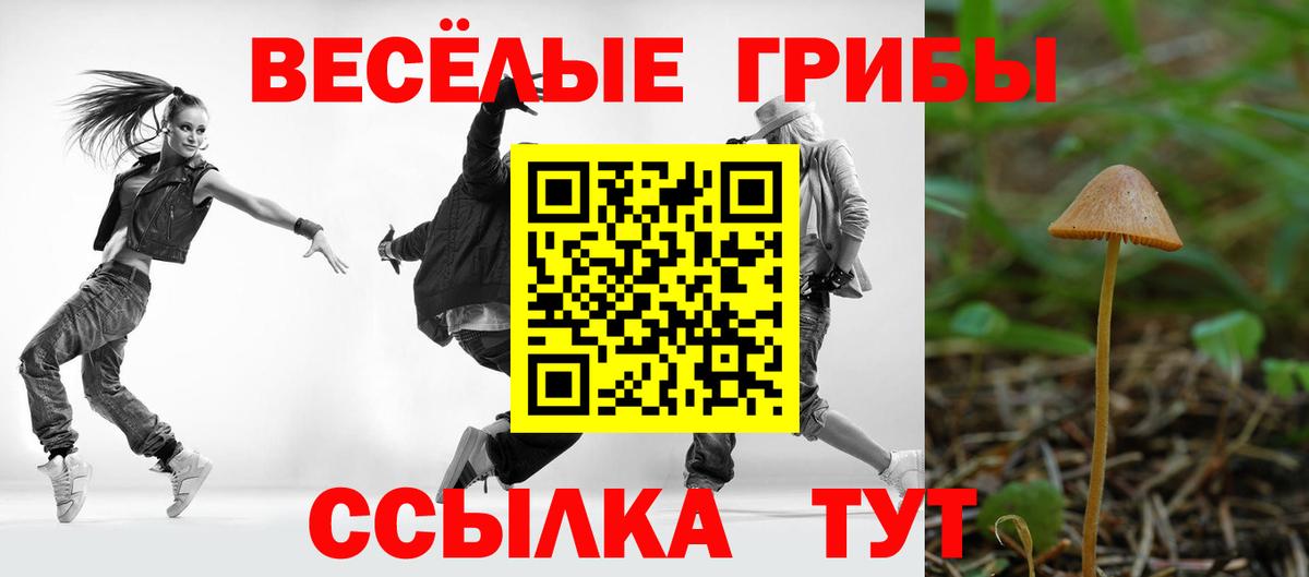 Майкоп  Галлюциногенные грибы ЛСД  Псилоцибиновые грибы Psilocybe  Вход с VPN 