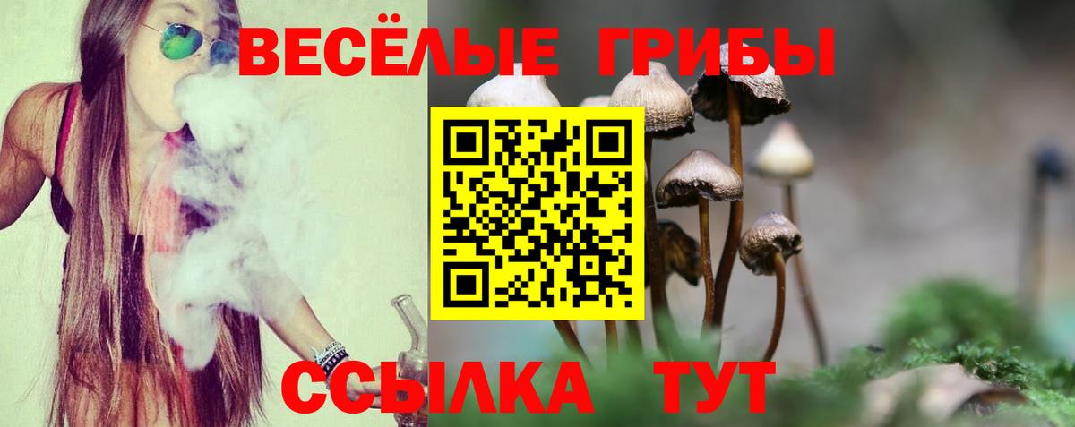 Псилоцибиновые грибы ЛСД Майкоп